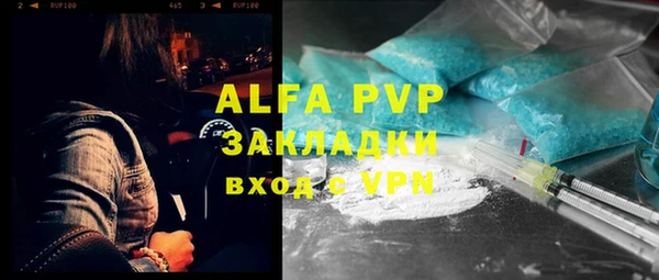 хмурый Арсеньев