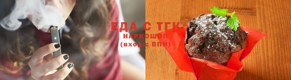 хмурый Арсеньев