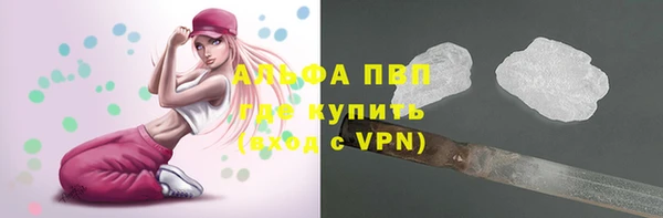 хмурый Арсеньев