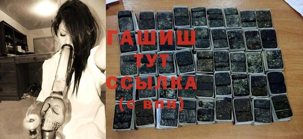 хмурый Арсеньев