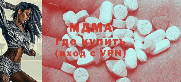 хмурый Арсеньев