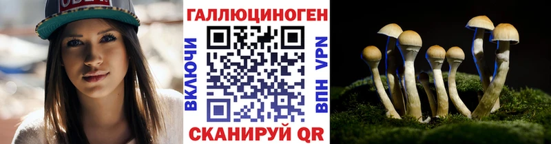 купить  сайты  Сосенский  Галлюциногенные грибы мухоморы 